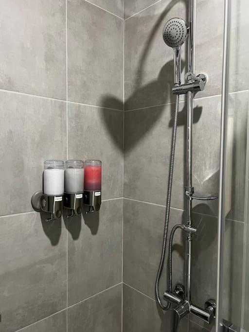 Two Apartments, Free Parking, Close To The Center * Prague